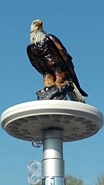 Eagle on Display Flagpole Topper 